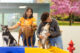 Dog daycare summer