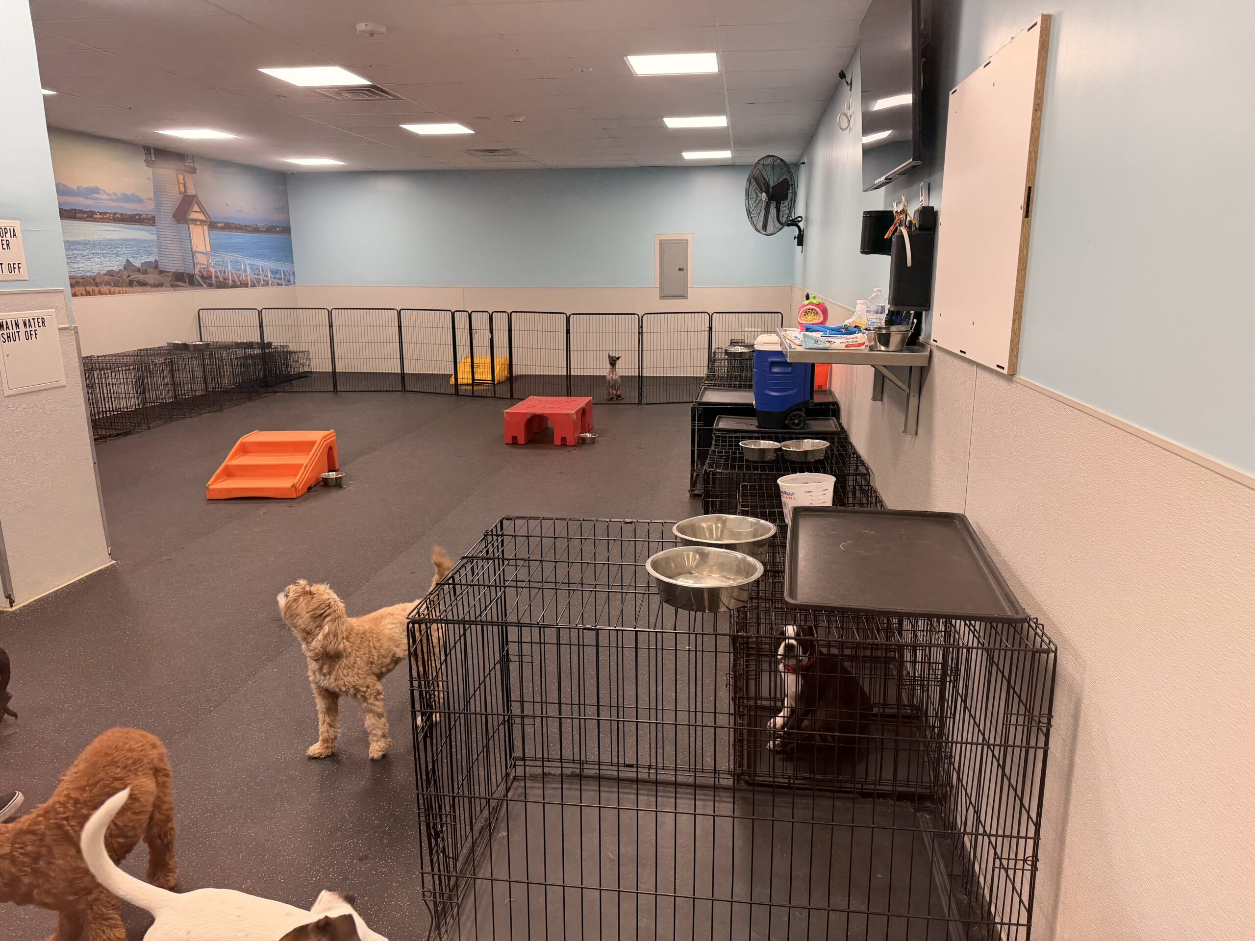 Bethpage Playroom