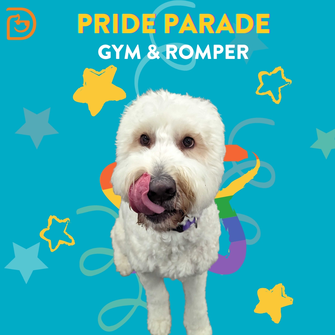 Pride Parade Gym & Romper Downtown Orlando