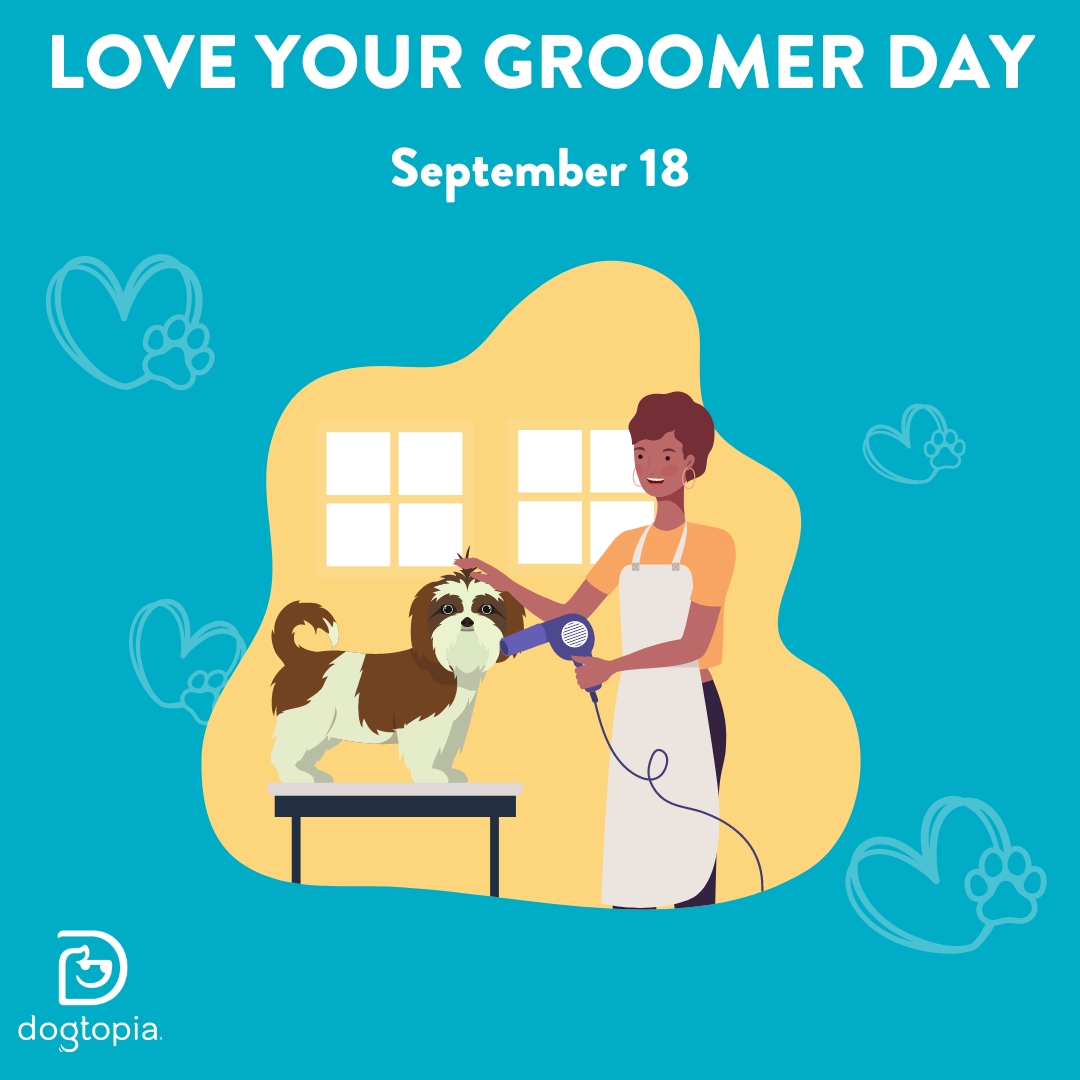 Love Your Groomer Day Downtown Orlando