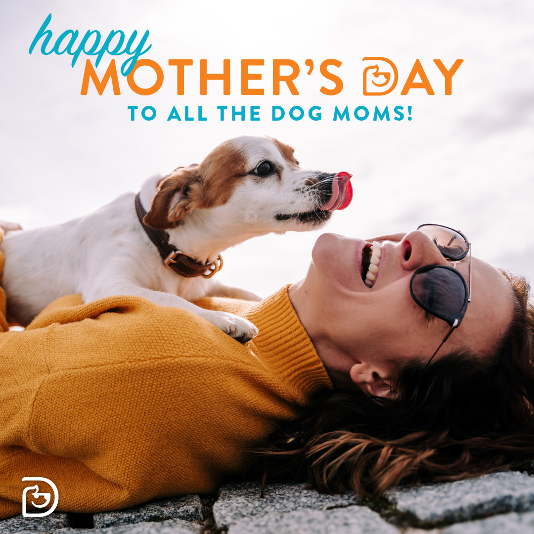 Mother s Day Bath Special Downtown Evanston mother-s-day-bath-special-downtown-evanston