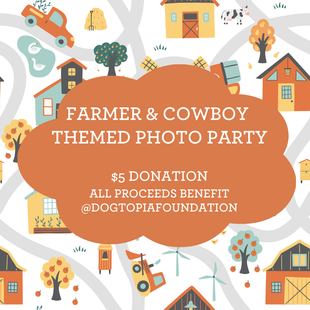 farmer-themed-photos-downtown-evanston