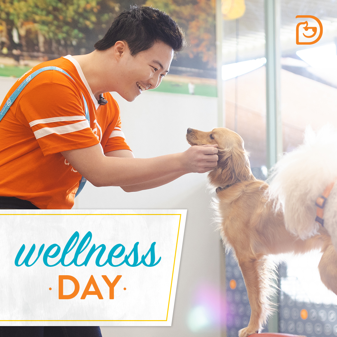 wellness-wednesday-dog-safe-foods-downtown-evanston