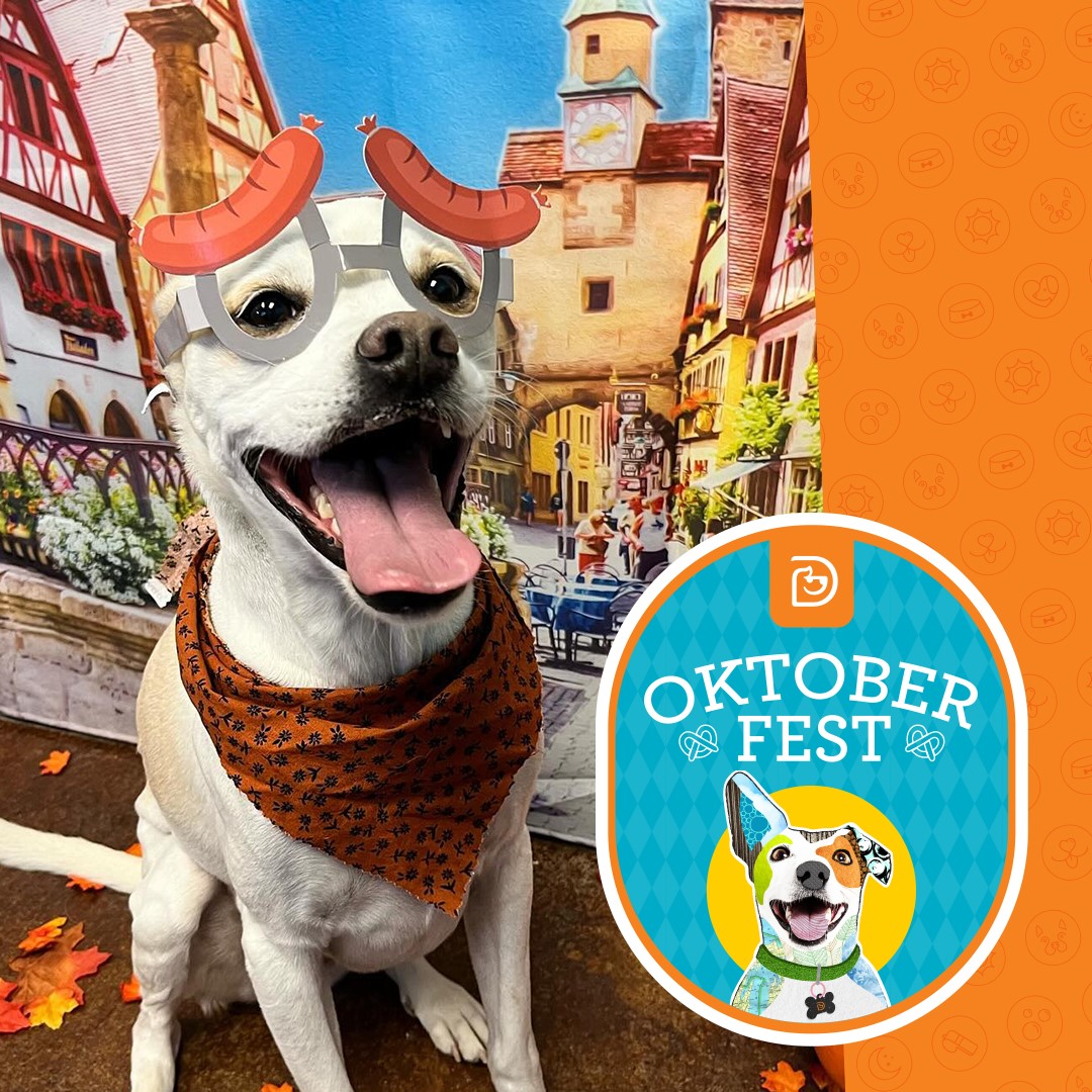 OktoberFest 2024 Downtown Evanston oktoberfest-2024-downtown-evanston