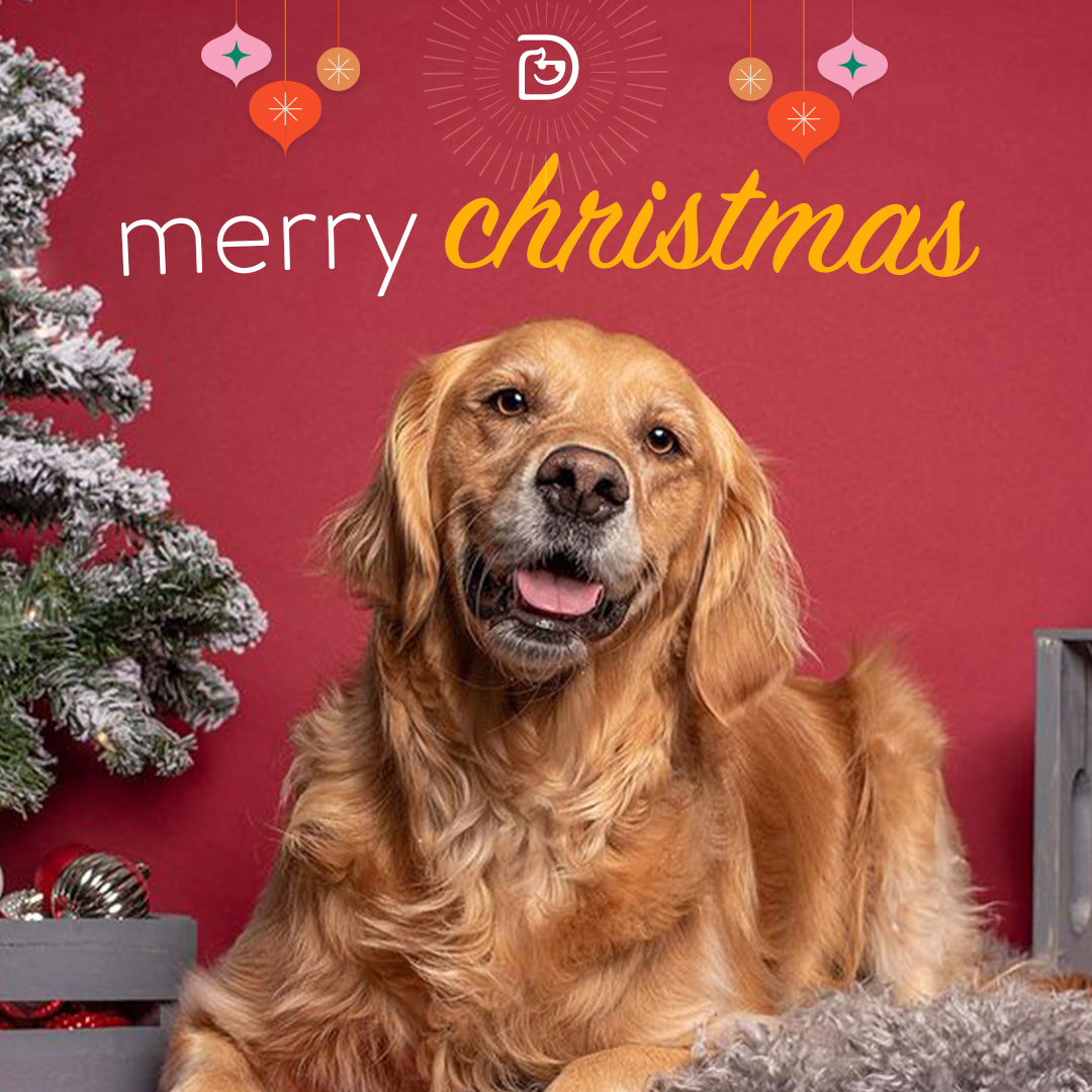 Downtown Evanston Events Downtown Evanston Events