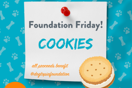 Foundation Friday Cookies