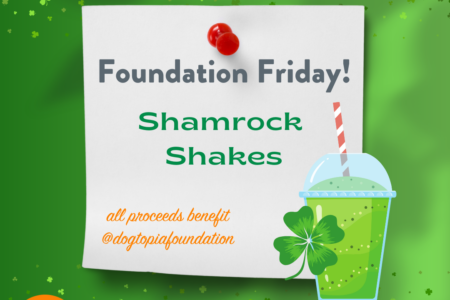 Foundation Friday Shamrock Shakes