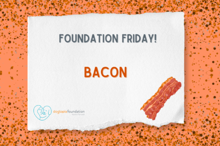 Foundation Friday Bacon, June 27, Dogtopia Foundation