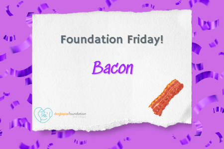 Foundation Friday Bacon, Dogtopia Foundation