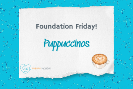 Foundation Friday Puppuccinos, Dogtopia Foundaiton