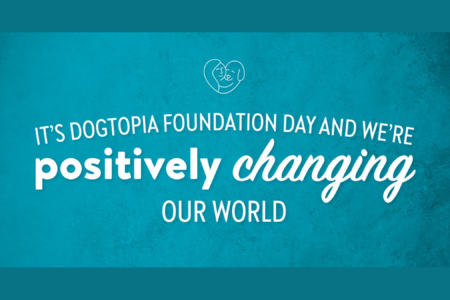 Dogtopia Foundation 8th Anniversary Photo Party