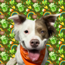 Lennon, Dog of the Week, March 16, 2026