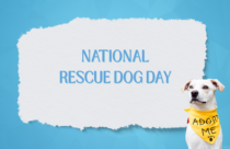 National Rescue Dog Day, 2026