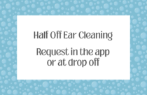 Half Off Ear Cleaning, June 17
