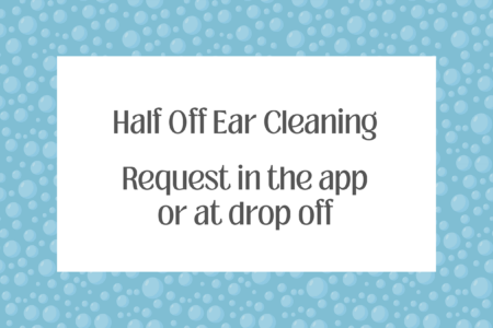 Half Off Ear Cleaning, June 17