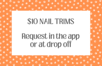 $10 Nail Trim Special