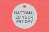 National ID Your Pet Day, July 1, 2026