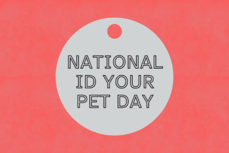 National ID Your Pet Day, July 1, 2026