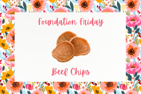 Foundation Friday, Farm to Pet Beef Chips, Dogtopia Foundation
