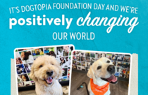 Dogtopia Foundation, 9th Anniversary