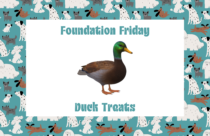 Foundation Friday, Duck Treats, Dogtopia Foundation