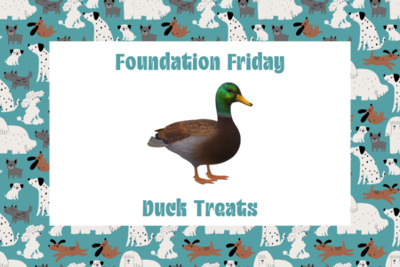 Foundation Friday, Duck Treats, Dogtopia Foundation