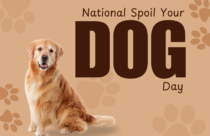 National Spoil Your Dog Day, August 10, 2026