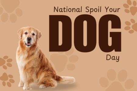 National Spoil Your Dog Day, August 10, 2026