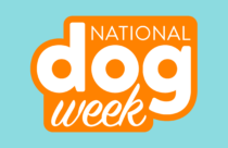 National Dog Week, September 20-27
