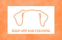 Half Price Ear Cleaning