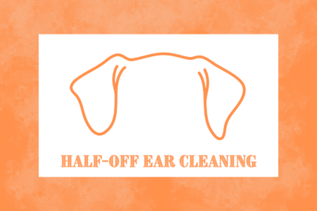 Half Price Ear Cleaning