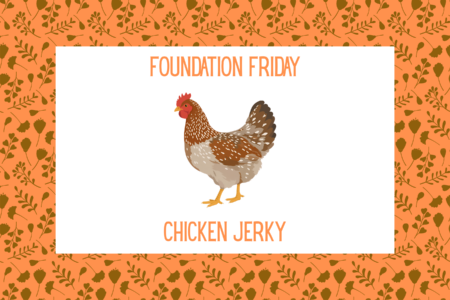 Foundation Friday, Chicken Jerky, Dogtopia Foundation