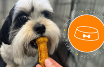 Peanut butter/honey treat for dogs