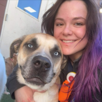 dog daycare job