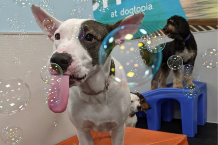 Bubble Party! - Southlake