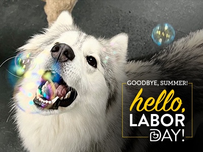 OPEN Labor Day! - Roseville