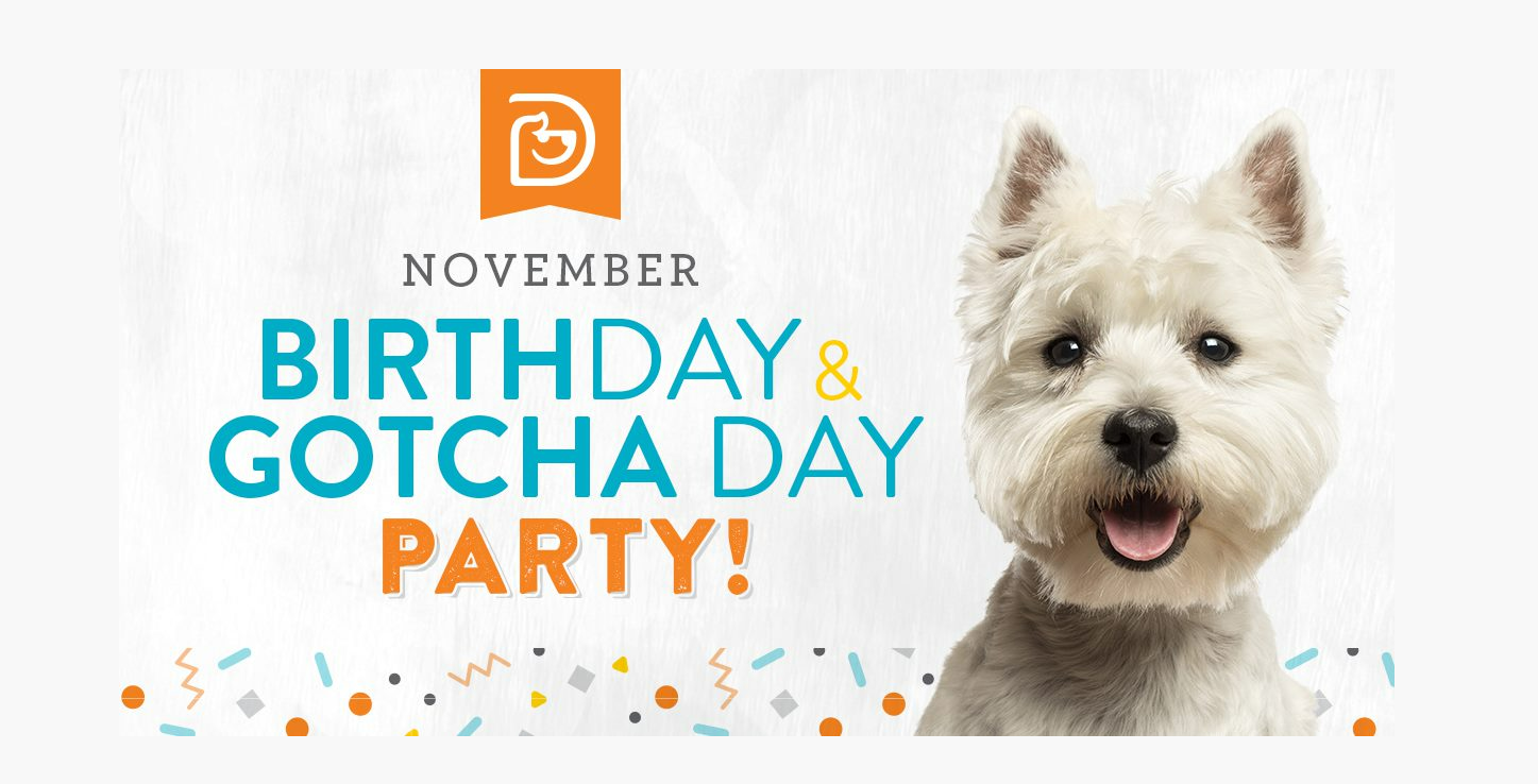 November Birthday + Gotcha Party Roseville