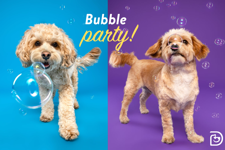Bubble Party Roseville bubble-party-roseville