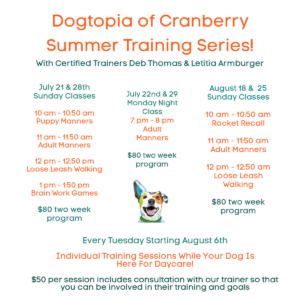 Dog Training at Dogtopia of Cranberry