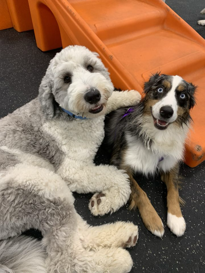 National Good Buddy Day - Pearl District