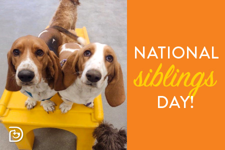 National Siblings Day - Norwalk