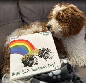 Dogtopia of Old Bridge