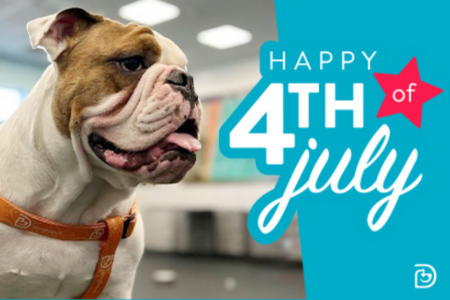 Dog at Dogtopia of Woodbury boarding during July 4th.