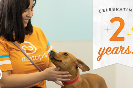 Dogtopia of Woodbury celebrating 2 Yeat