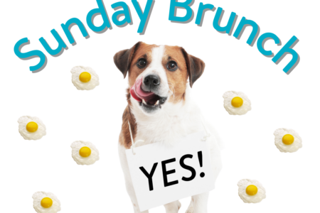 Sunday Brunch at Dogtopia!