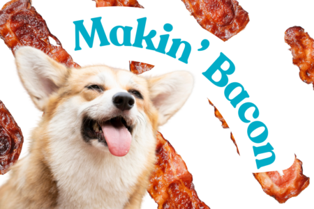 Dog with bacon treats.