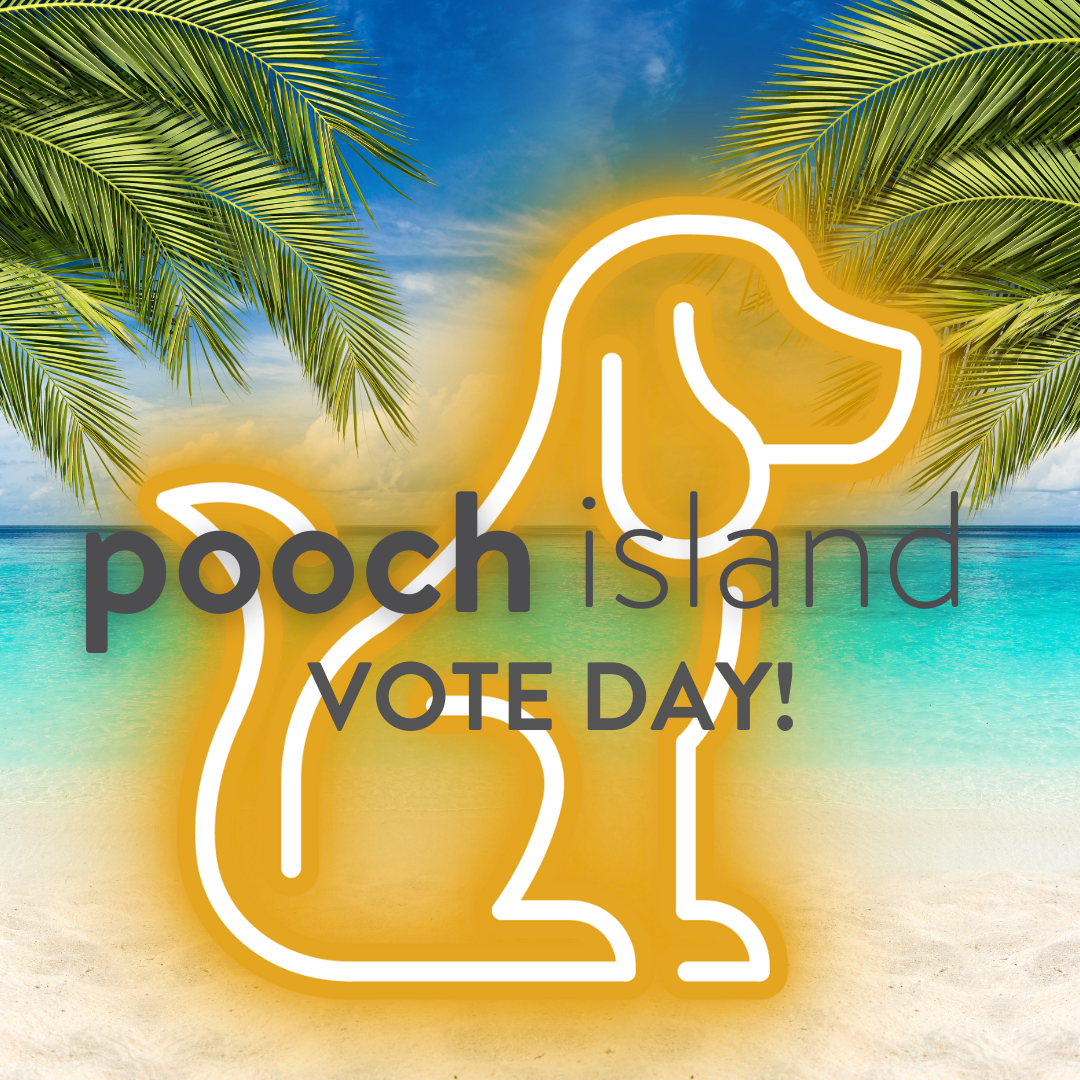 POOCH ISLAND- Vote Day! - Woodbury