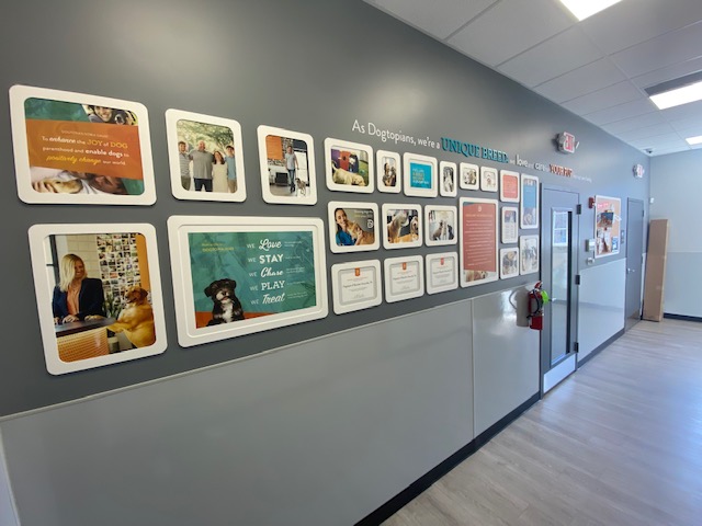 Wow Wall