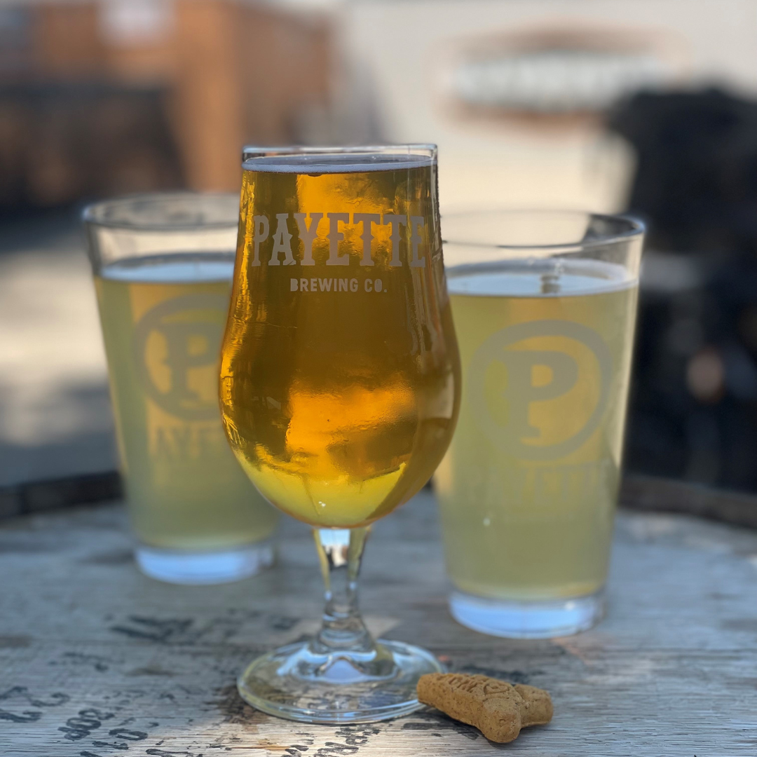 Where Pups and Pints Collide Boise’s Top Dog Friendly Breweries