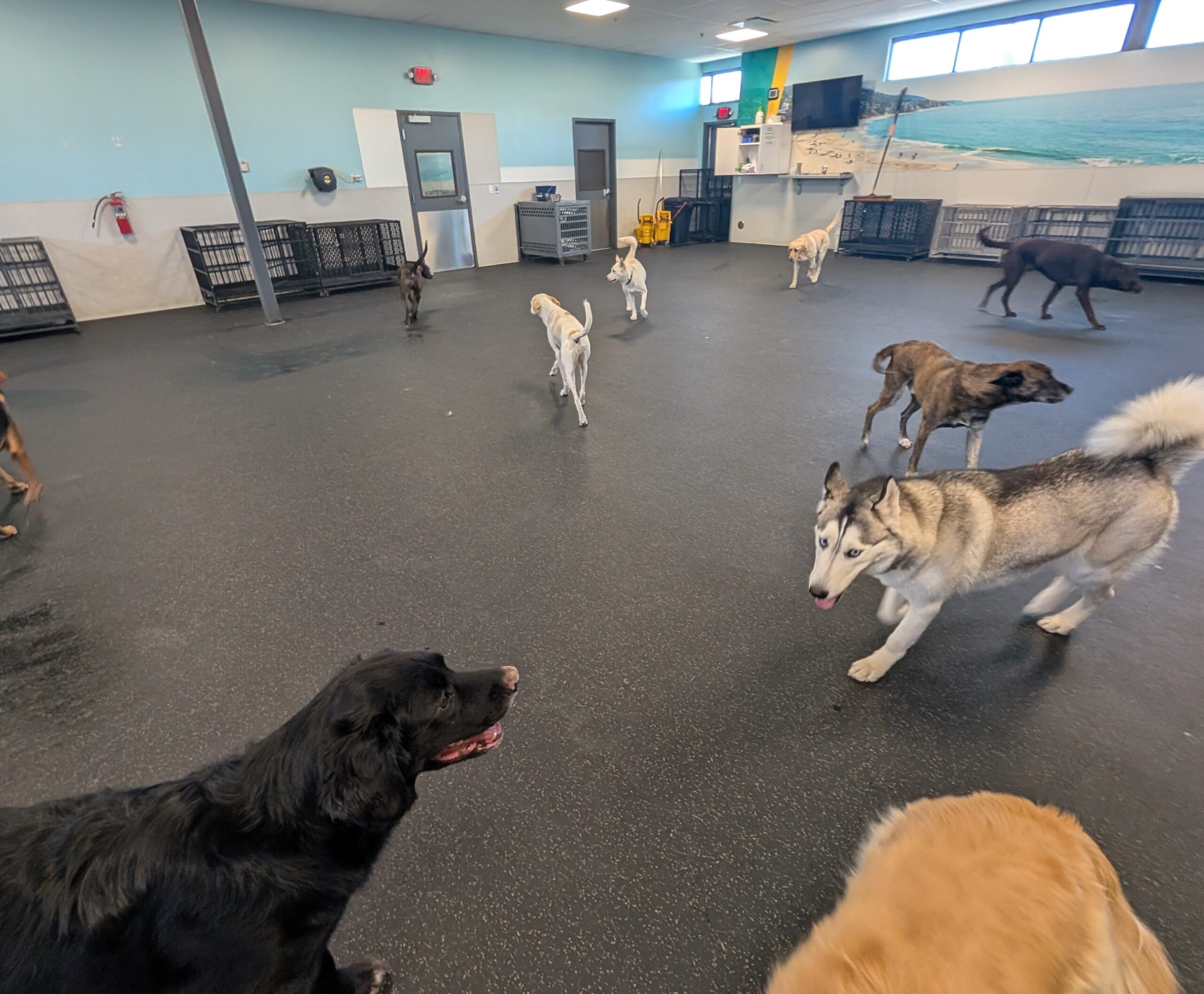Boise-Greenbelt Gym